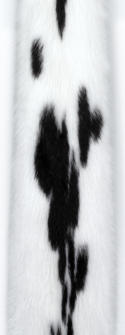 Норка ягуар (jaguar). Белая норка с черными пятнами.