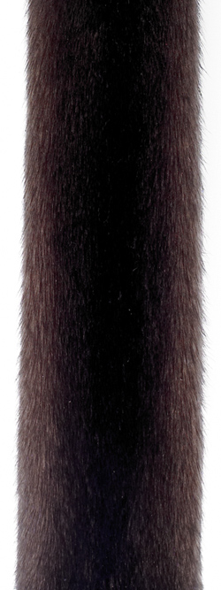 Коричневая норка (scanbrown). В российской классификации: стандартная темно-коричневая норка (СТК). Темный оттенок коричневой норки.